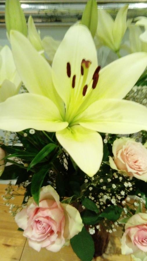 Olderfleet Bed & Breakfast Clacton-on-Sea Luaran gambar