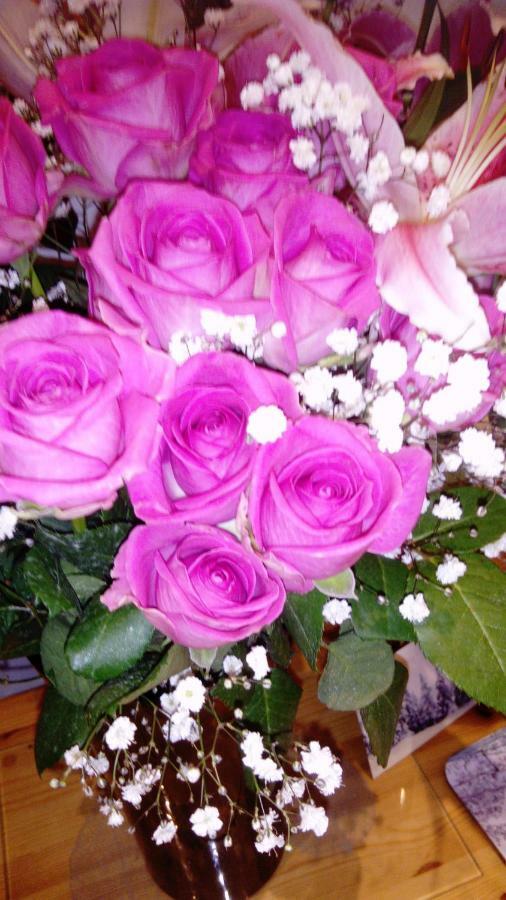 Olderfleet Bed & Breakfast Clacton-on-Sea Luaran gambar